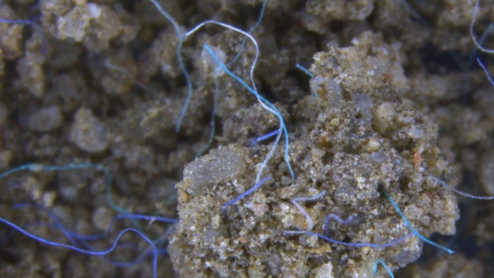 Polyacrylfasern im Erdreich. | Bild: Anderson Abel de Souza Machado