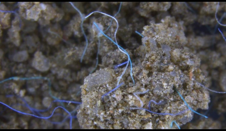 Polyacrylfasern im Erdreich. | Bild: Anderson Abel de Souza Machado