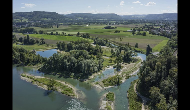 Bei der ökologischen Aufwertung des Chly Rhy bei Koblenz (AG) wurde unter anderem ein zugeschütteter 1,5 Kilometer langer Seitenarm des Rheins wieder freigelegt, der nun bei Hochwasser über die Ufer tritt. So ist eine dynamische Uferlandschaft entstanden. (Bild: H. Böhler u. M. Forte/Ex-Press/BAFU)