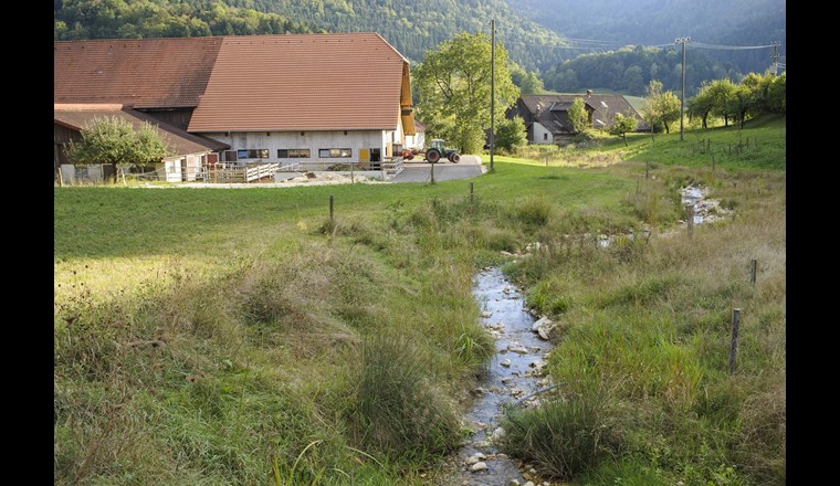 Revitalisierung La Motte, Ocourt (JU). Der einst stark verbaute Bach, der unterhalb von St. Ursanne in den Doubs fliesst, wurde auf einer Länge von 500 Metern aus seinem Korsett befreit. Dabei wurde nur so viel in die Landschaft eingegriffen, dass sich der Bach von selbst einem möglichst naturnahen Zustand annähern kann. (F. Bertschinger/Ex-Press/BAFU)