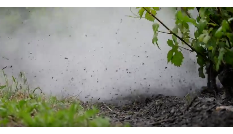 Leitungswasser unter Hochdruck soll das Unkraut vertilgen