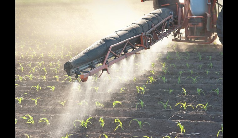 Die Initiative «Für eine Schweiz ohne synthetische Pestizide» wurde mit 145'099 Unterschriften bei der Bundeskanzlei eingereicht. (©fotokostic/123rf.com)