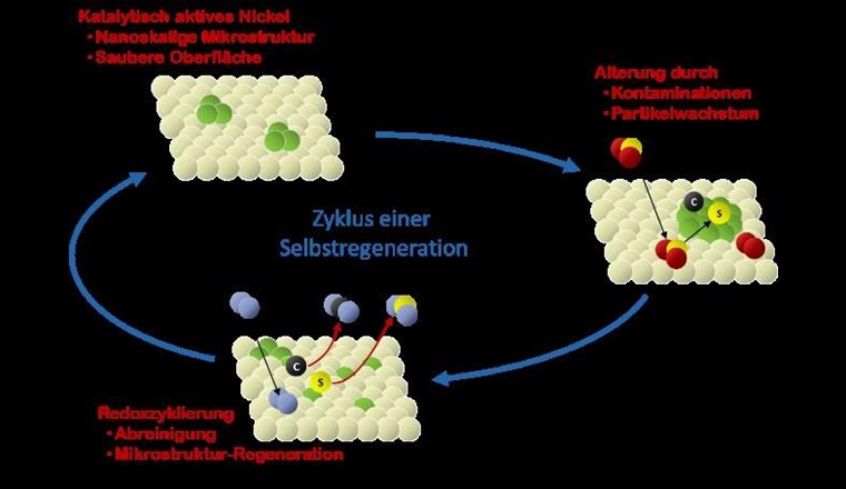 Schematische Darstellung der Selbstregeneration des «Smartcat».