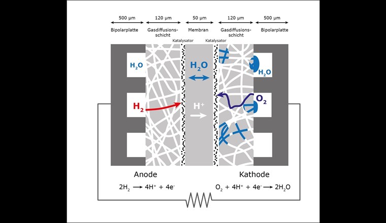Aufbau einer PEM-Brennstoffzelle. Für den effizienten Betrieb ist der Wasserhaushalt von zentraler Bedeutung, da durch anfallendes Produktwasser in den Gasdiffusionsschichten die Funktionsweise der Brennstoffzelle eingeschränkt werden kann (Quelle: St. Oberholzer). 