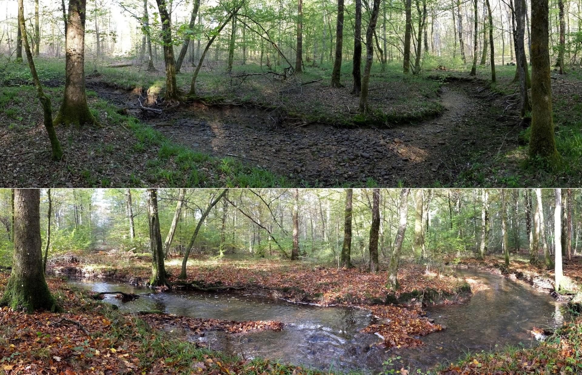 Einmal trocken, einmal geflutet: Fliessgewässer, die nicht permanent Wasser führen, tragen massgeblich zum globalen Kohlendioxid-Umsatz bei. Bild Eawag. 