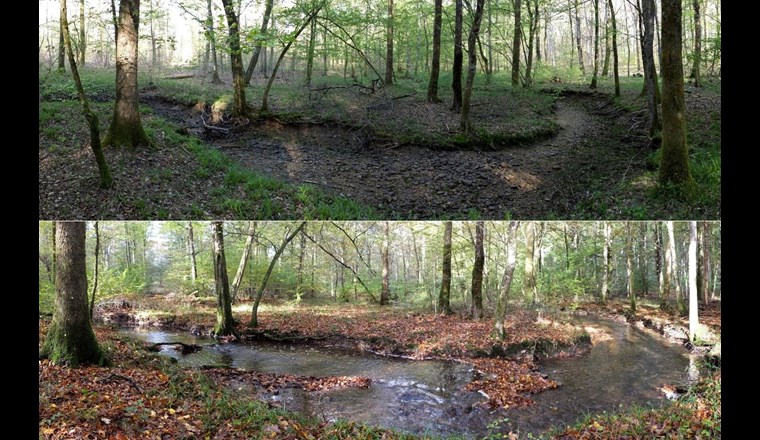 Einmal trocken, einmal geflutet: Fliessgewässer, die nicht permanent Wasser führen, tragen massgeblich zum globalen Kohlendioxid-Umsatz bei. Bild Eawag. 