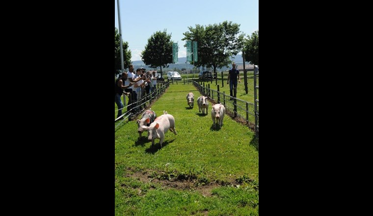 Viel Glück im weiteren Berufsleben!