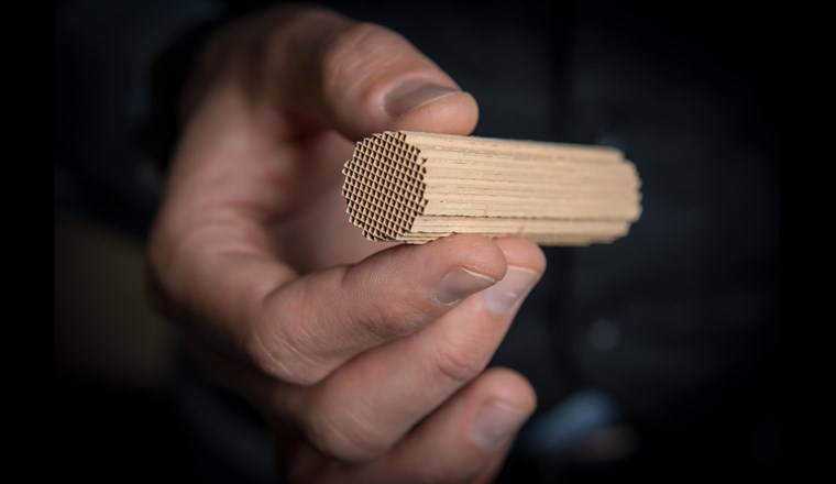 Das Trägermaterial des Katalysators erinnert in seiner Struktur an einen Schwamm. 