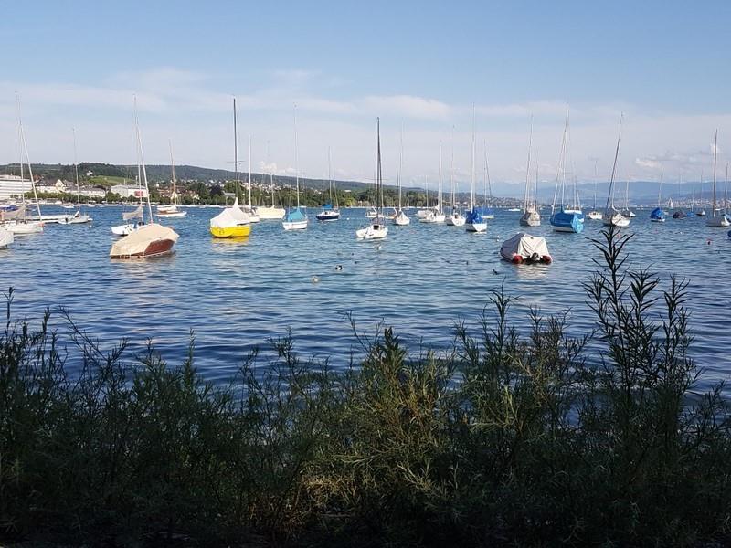 Das Baden in den Seen ist wieder ein grosser Genuss.