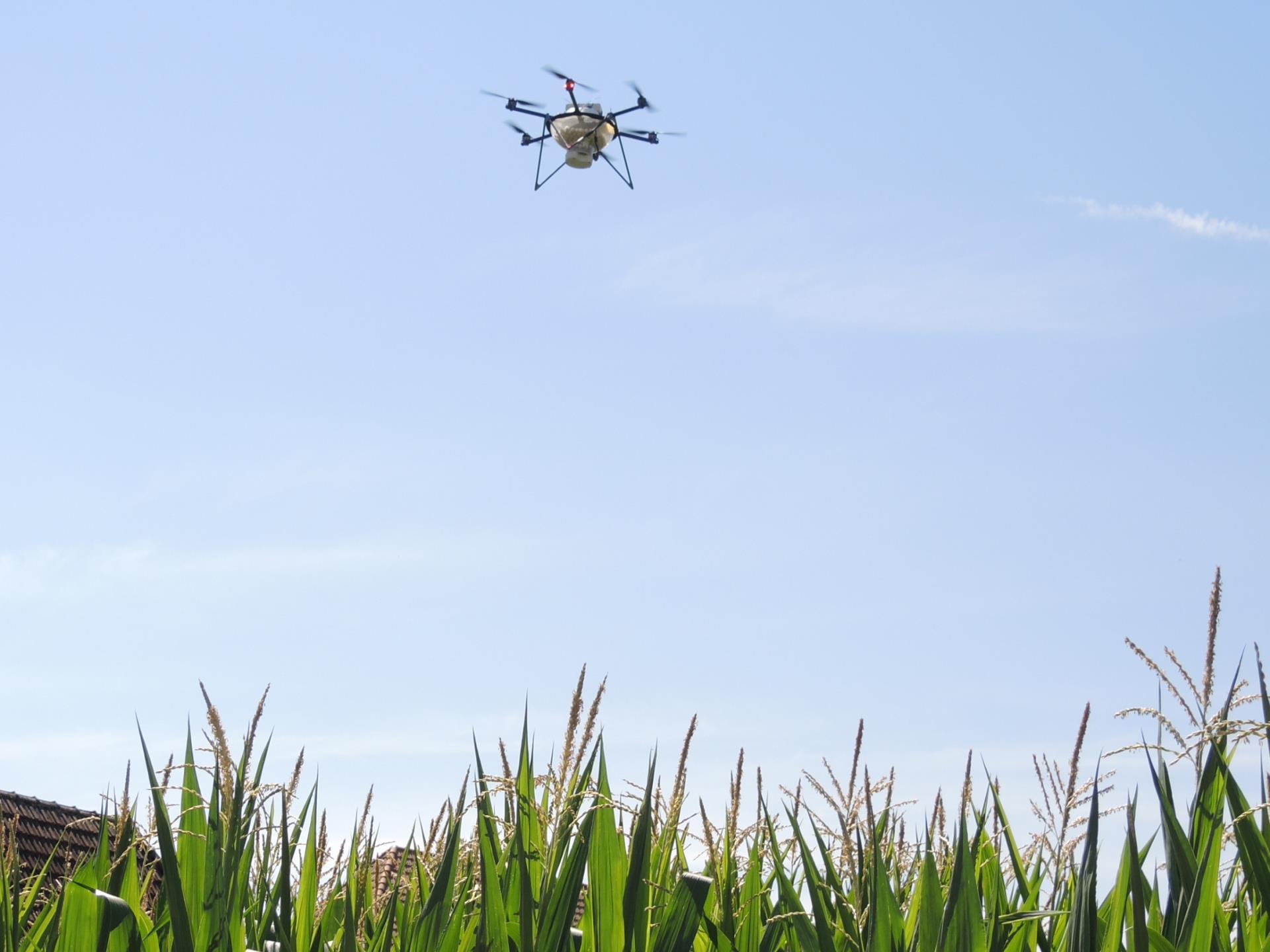Auch modernster Pflanzenschutz kann Auswirkungen auf die Umwelt haben.