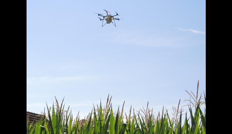 Auch modernster Pflanzenschutz kann Auswirkungen auf die Umwelt haben.