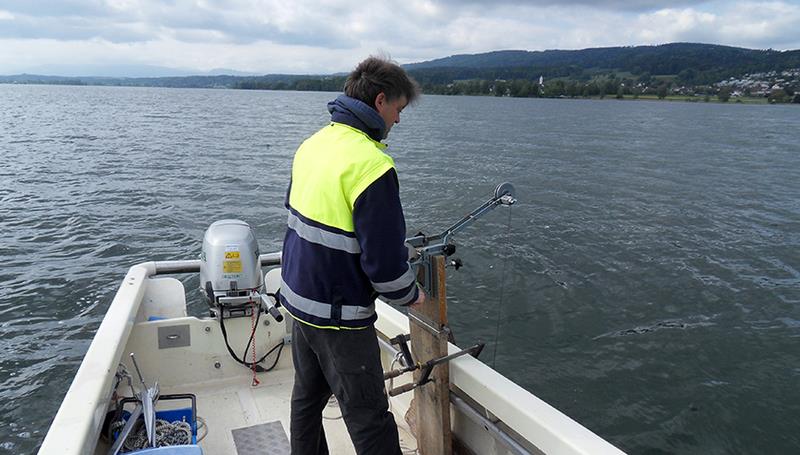 Die Wasserproben für die Glyphosat-Messungen wurden im Greifensee entnommen. 
