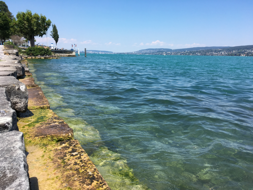 Auch der Pegel des Zürichsees liegt derzeit tiefer als normalerweise im Juli. Hier eine Aufnahme von Thalwil von Ende Juli 2018.