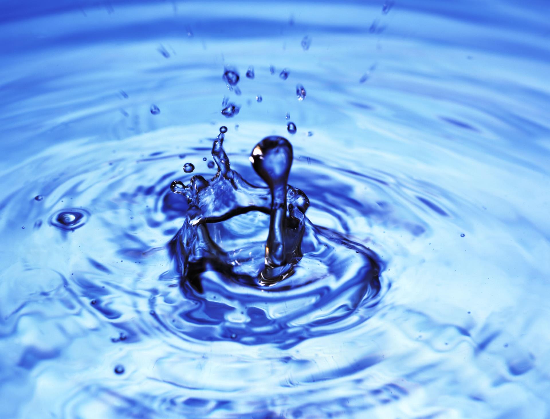 Bei der derzeitigen Trockenheit zählt jeder Tropfen!