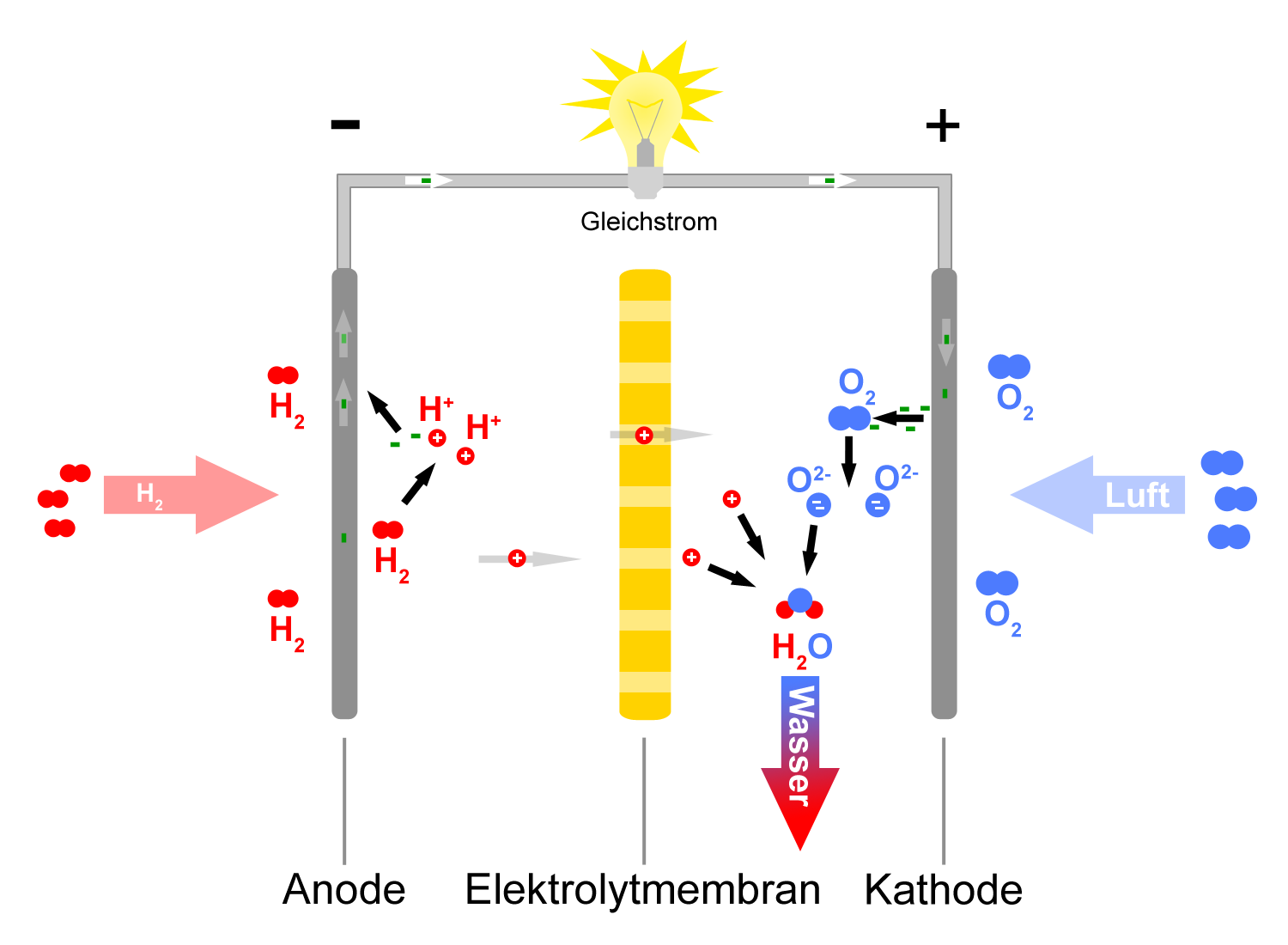 Das Wasserstoffgas kann als Brennstoff gespeichert und in einer Brennstoffzelle verbraucht werden, um bei Bedarf Elektrizität zu erzeugen. Dabei entsteht nur Wasser als Abfallprodukt.