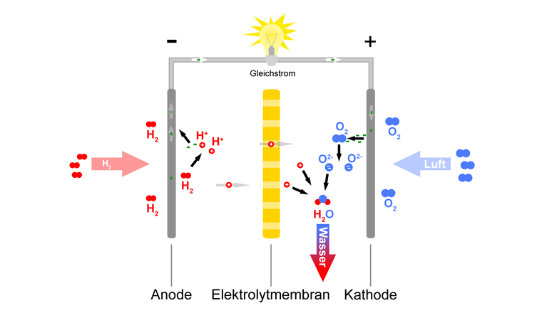 Das Wasserstoffgas kann als Brennstoff gespeichert und in einer Brennstoffzelle verbraucht werden, um bei Bedarf Elektrizität zu erzeugen. Dabei entsteht nur Wasser als Abfallprodukt.