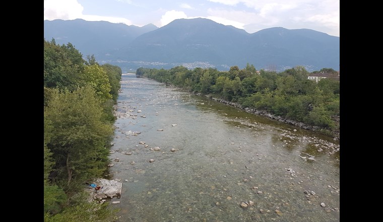 Die Maggia vor ihrer Mündung in den Lago Maggiore.