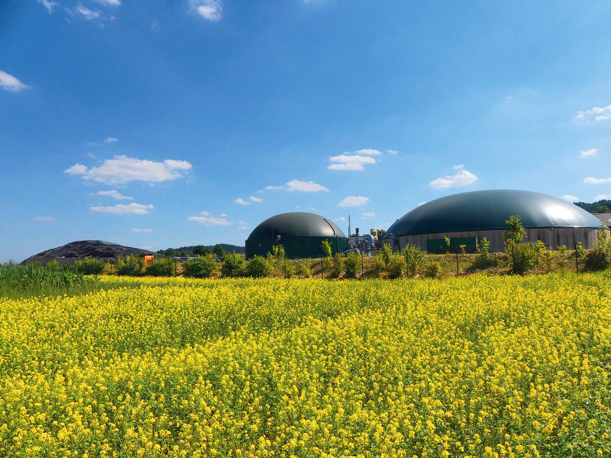 Realistisches Ziel: 30% erneuerbare Gase bis 2030