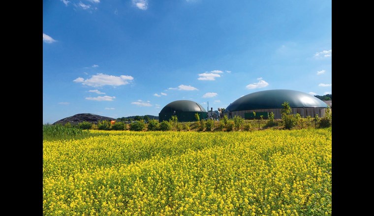 Realistisches Ziel: 30% erneuerbare Gase bis 2030