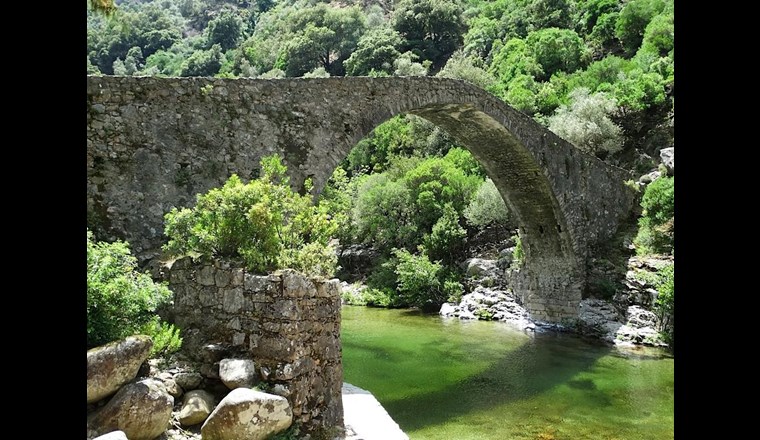 Die Kantone sind seit einigen Jahre gesetzlich verpflichtet, Gewässerräume festzulegen – als Beitrag an die Sicherheit vor Hochwasser und zur Förderung der Biodiversität.