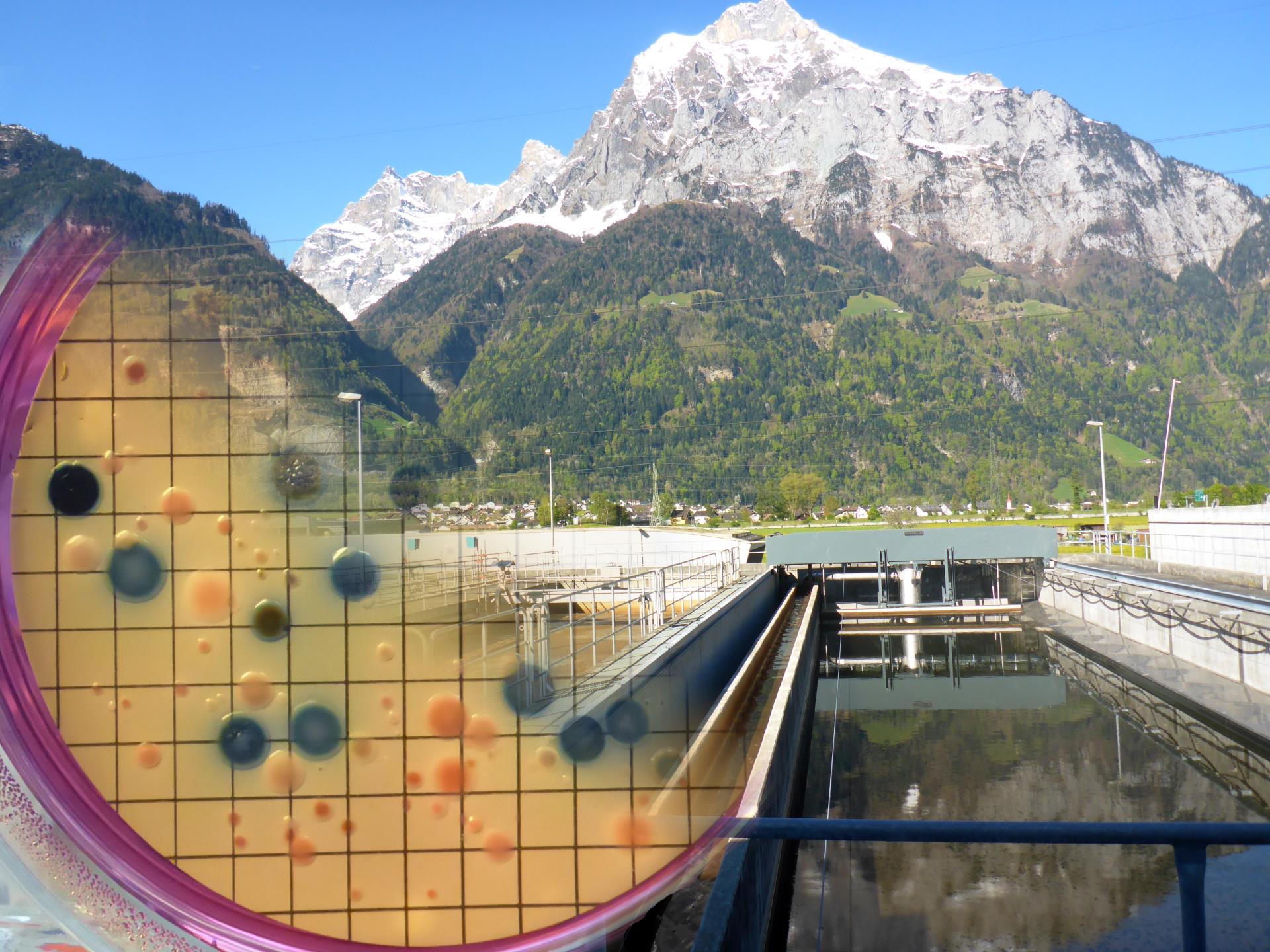 Foto: ARA Altdorf,  Karin Beck/Helmut Bürgmann, Eawag