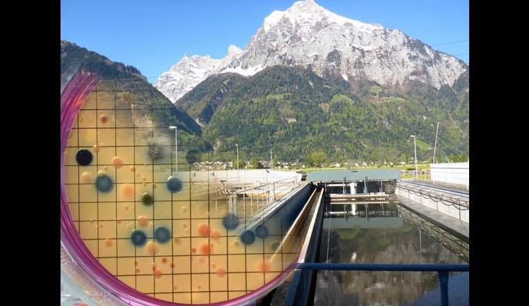 Foto: ARA Altdorf,  Karin Beck/Helmut Bürgmann, Eawag