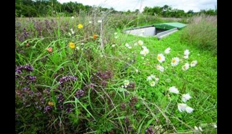 Biodiversität und Gewässerschutz in der Reinacher Heide.
