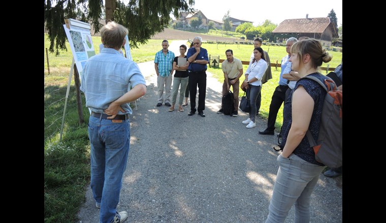 Ortstermin am "Chräbsbach" in Zollikofen...