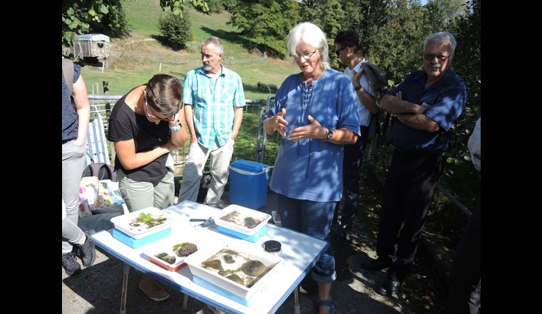 Wie steht es um die Biologie des "Chräbsbaches"?