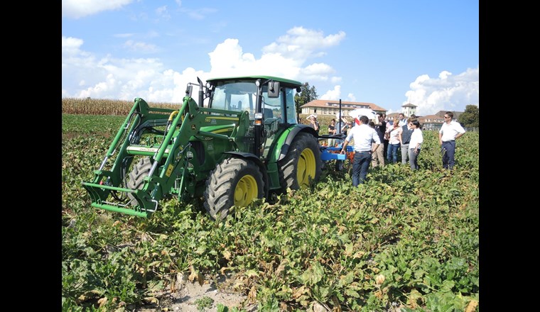 Und wie um die mechanische Unkrautbekämpfung?