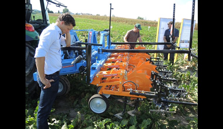 Oft liegt die Lösung im Detail begraben - auch bei der mechanischen Unkrautbekämpfung.