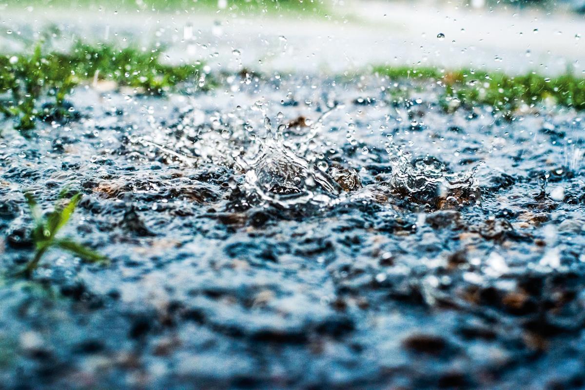 Führt der Klimawandel zu veränderten Startregen in der Schweiz?