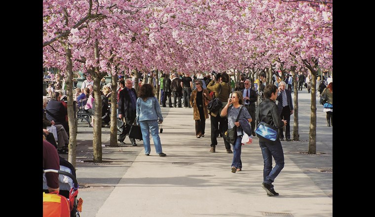 Schwammstadt-Prinzip, umgesetzt in Stockholm. (Quelle: B. Embrén)