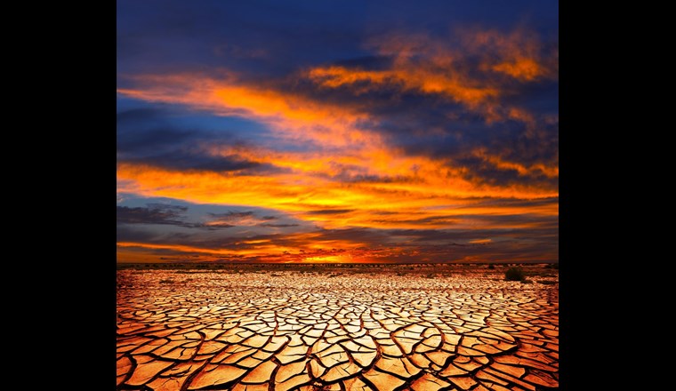 Die Trockenheit wird immer mehr zum Thema - auch in den Schweizer Medien (Foto: 123rf.com)