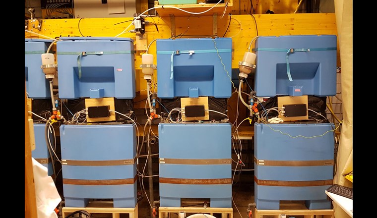 Die von der österreichischen Firma EOOS designten Wasserwände stehen hier in der Versuchshallte der Eawag für systematische Tests. 
(Foto: Ch. Ziemba, Eawag)