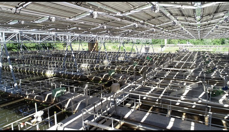 Das Solarfaltdach über den Becken der ARA Chur kann jederzeit eingezogen werden. (Foto: dhp technology AG)