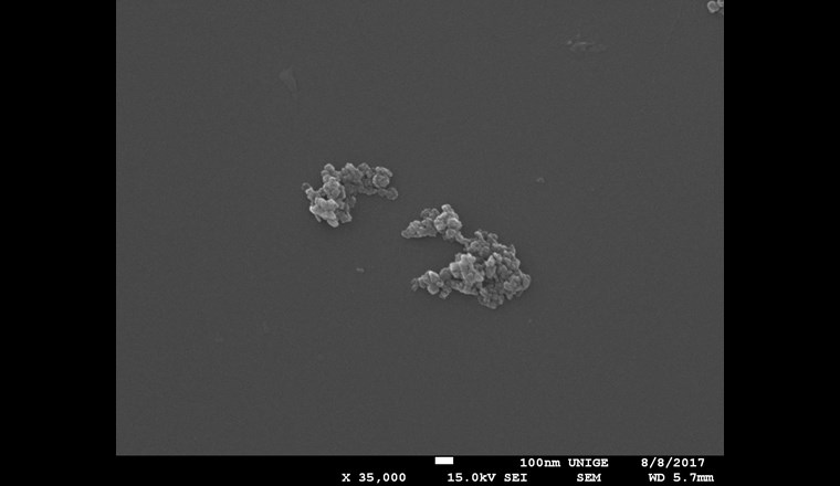 Fig. 3a Image obtenues par microscopie électronique à balayage de TiO2 dans l’eau 
ultrapure à pH > 8,0. Des informations importantes sont obtenues sur la morphologie des nanoparticules et la taille des nano-particules primaires.