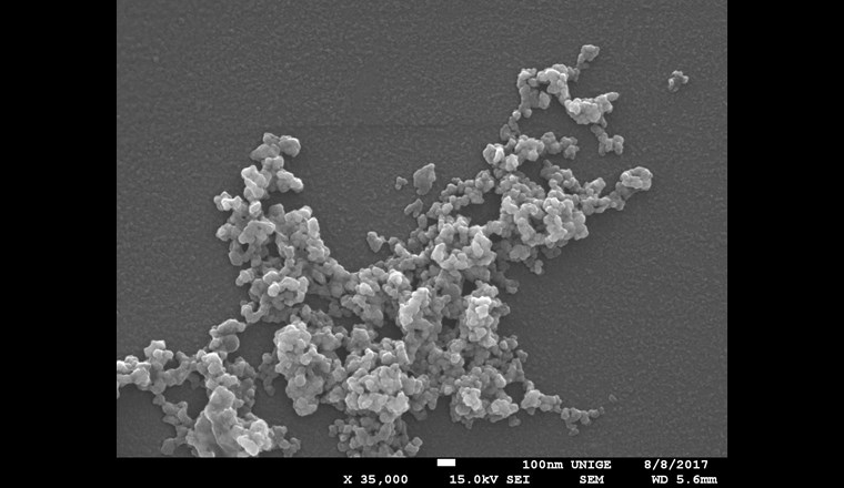 Fig. 3b Image obtenues par microscopie électronique à balayage de CeO2  dans l’eau 
ultrapure à pH > 8,0. Des informations importantes sont obtenues sur la morphologie des nanoparticules et la taille des nano-particules primaires.