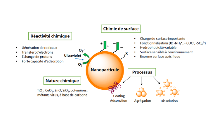 Fig. 2 Aperçu des principales propriétés chimiques des nanoparticules manufacturées.