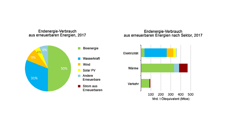 Die wichtigste erneuerbare Energie im globalen Massstab ist die Bioenergie, also Energie aus Holz und anderen biogenen Stoffen.