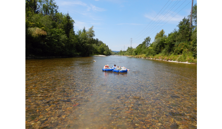 Die Thur führt schon seit  ganzen fünf Monaten nur wenig Wasser. (Foto: BAFU)
