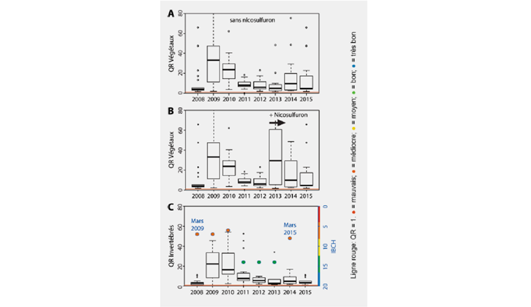 Fig. 5: Box-Plots der ökotoxikologischen Risikoquotienten des PSM-Gemisches für A) Pflanzen ohne Nicosulfuron, B) Pflanzen mit Nicosulfuron (untersucht ab 2013) und C) Inver-tebraten im Ruisseau des Charmilles, für die einzelnen Jahre anhand der zwischen März und Oktober gemessenen Konzentrationen berechnet. Der Biologische Index Schweiz (IBCH) vom März des Folgejahres ist mit invertierter Achse darübergelegt.