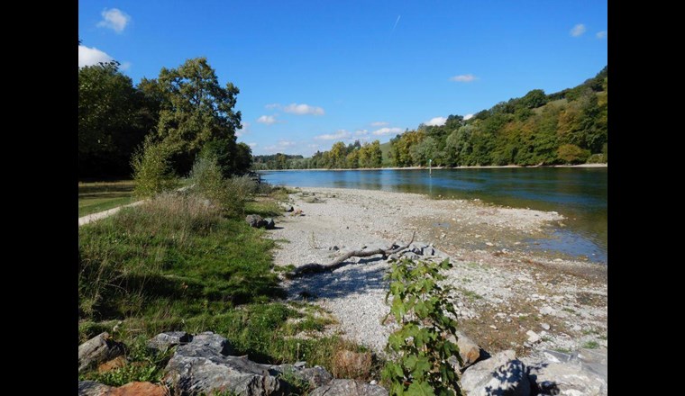 Das revitalisierte Rheinufer unterhalb St. Katharinental. (Foto: Kanton Thurgau)
