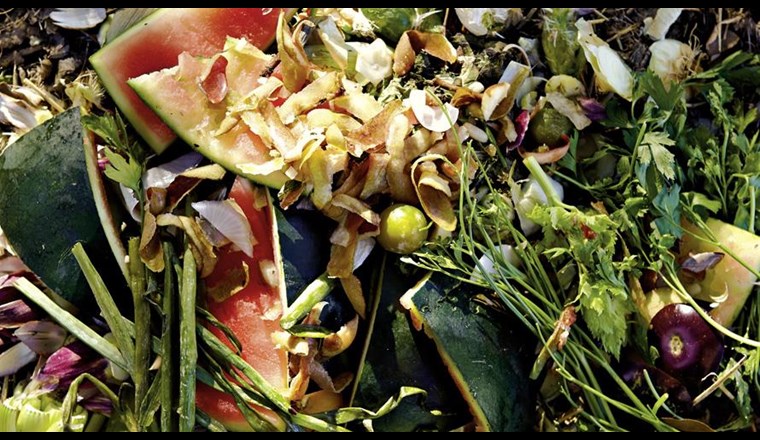 Die Industriellen Werke Basel (IWB) sind auf die Herstellung von Biogas vorbereitet, doch die Regierung ist vorerst gegen eine Quote an erneuerbarem Gas im Netz. (Bild: IWB)