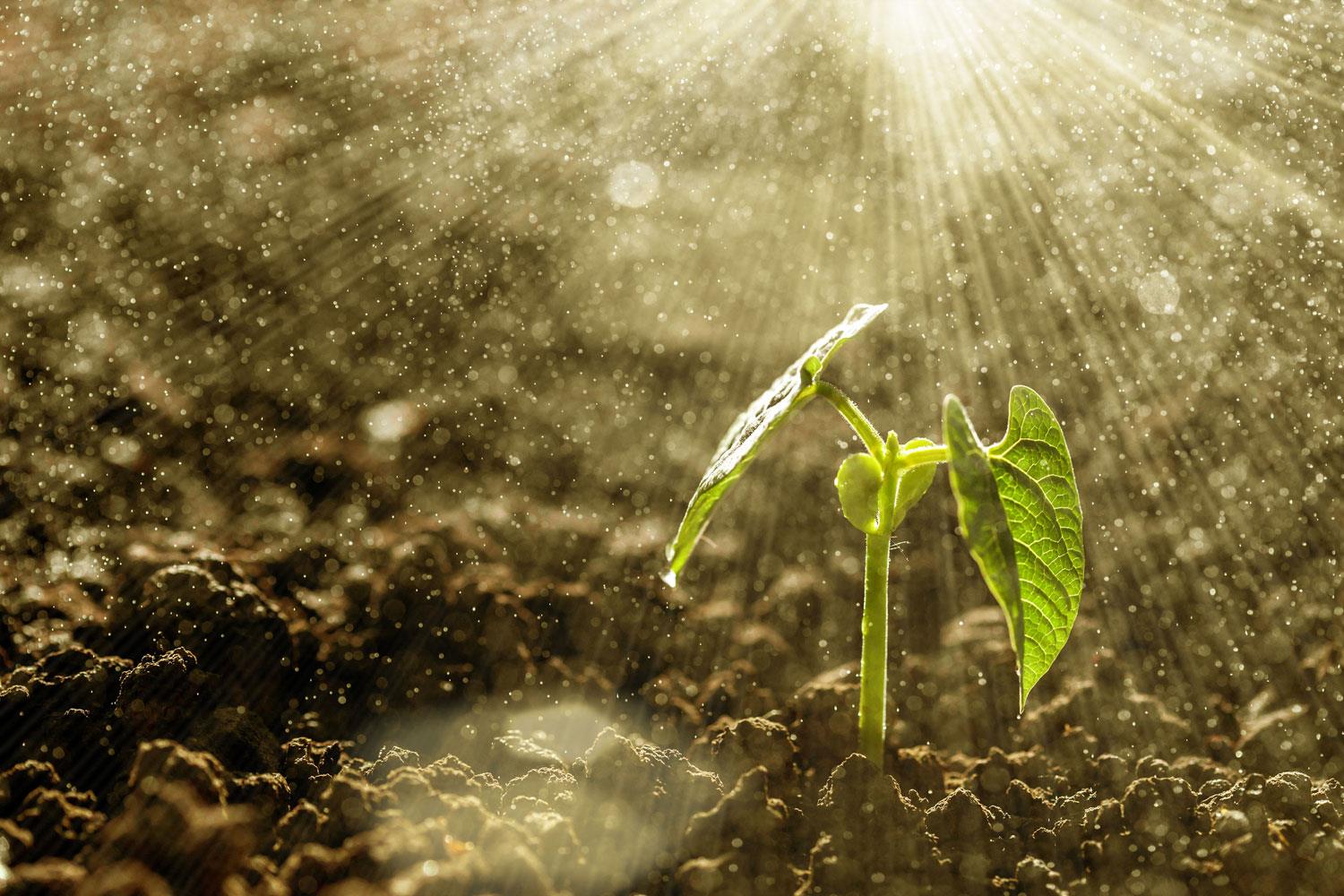 Bild: (c)  Volodimir Kalina /123rf.com