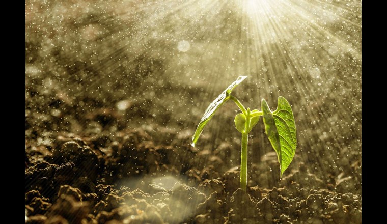 Bild: (c)  Volodimir Kalina /123rf.com