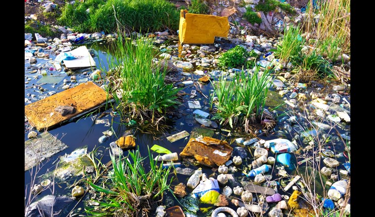 Immer wieder kommt es vor, dass Plastik und anderer Müll in den Gewässern landet. (Symbolbild: 123rf.com)
