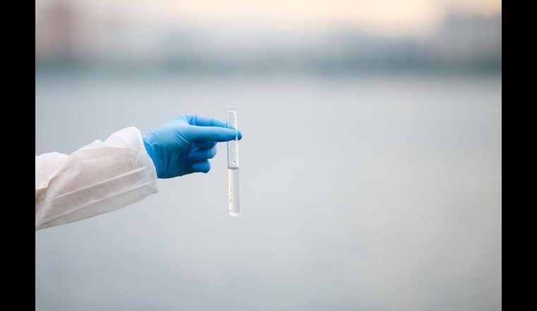 (c) Sergey Mironov / 123rf.com