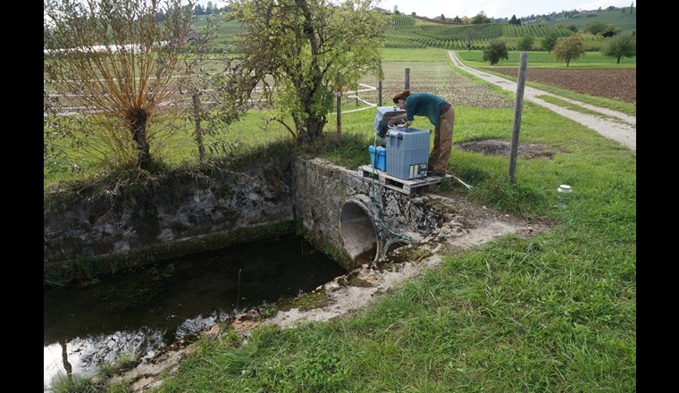Kleine Fliessgewässer in landwirtschaftlich genutzten Einzugsgebieten sind stark mit Pflanzenschutzmitteln belastet. Bei diesem Thema überlagern sich die Diskussionen zur AP22+ und den zwei hängigen Volksinitiativen. Im Bild: Hoobach bei Hallau SH (© A. Bryner, Eawag)