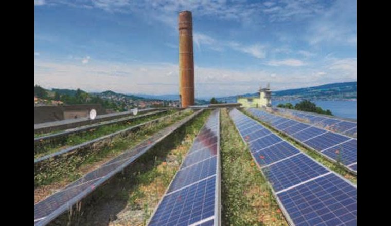 Multifunktionales Flachdach: Es verringert den Niederschlagswasserabfluss durch Evapotranspiration und die Abflussspitzen 
durch Retention, fördert die Biodiversität und dient gleichzeitig der Erzeugung erneuerbarer Energie.